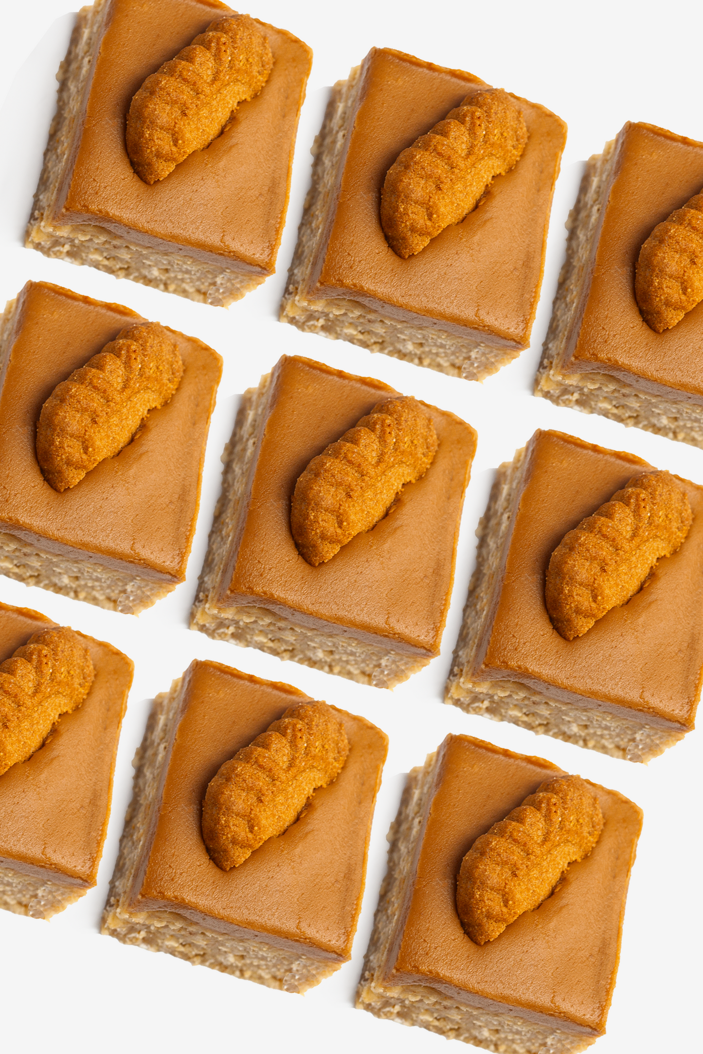 9 x Lotus Biscoff Flapjack